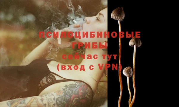бошки Протвино