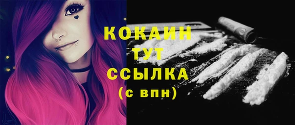 бошки Протвино