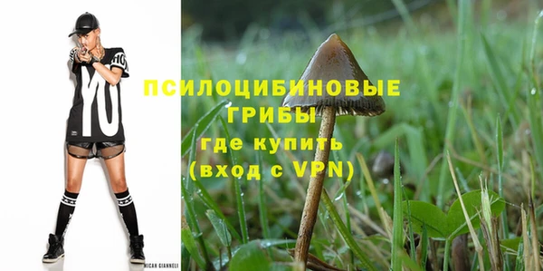 бошки Протвино