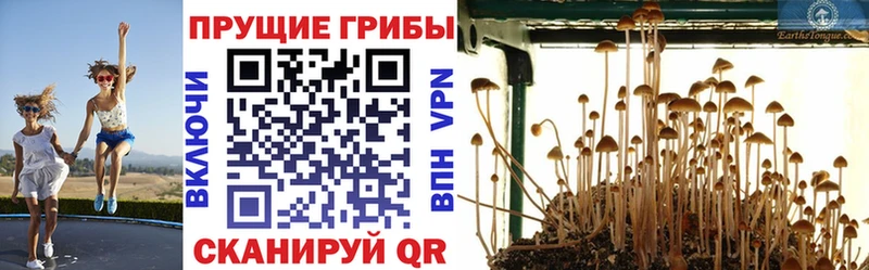 Псилоцибиновые грибы прущие грибы Хадыженск